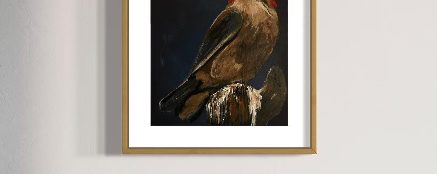 Pelican Study